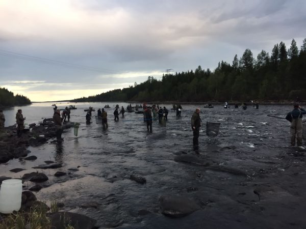 Тур «Рыбалка на реках Кольского»