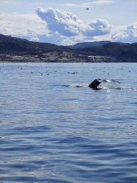 Тур «Три стихии Севера»
