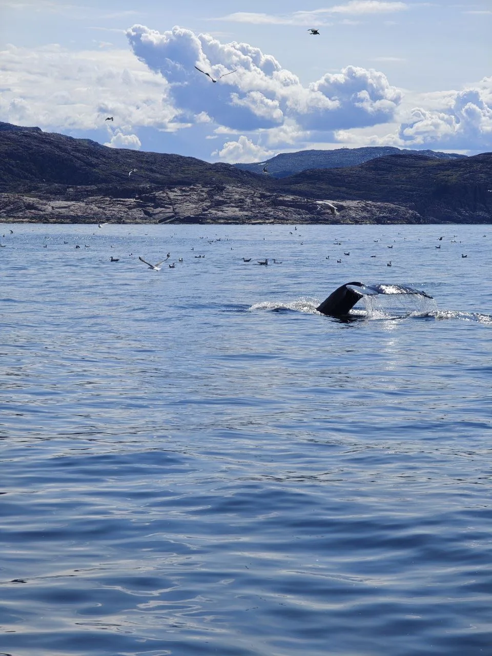 Тур «Три стихии Севера»