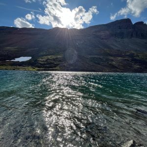 3b97521d-594a-4a41-8b1c-50e7fe7907f1