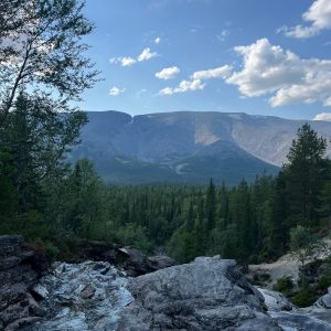 59201bd0-4d35-4df8-b45b-6296db48fb67